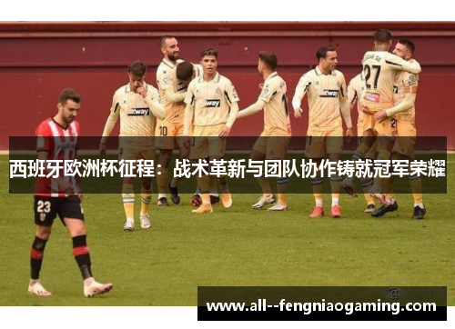 西班牙欧洲杯征程：战术革新与团队协作铸就冠军荣耀