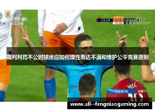 裁判判罚不公时球迷应如何理性表达不满和维护公平竞赛原则