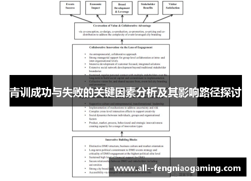 青训成功与失败的关键因素分析及其影响路径探讨
