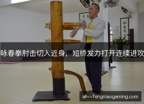 咏春拳肘击切入近身,短桥发力打开连续进攻 咏春拳肘击切入近身,短桥发力打开连续进攻